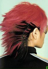 hide