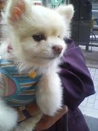 mifu